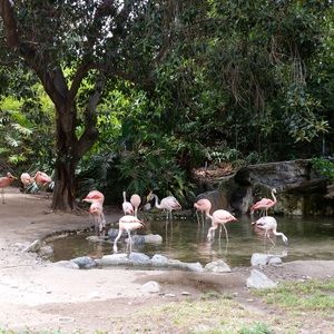 Meet your Posher, Drea